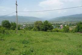 Lease Land , Saguramo