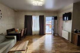 Daily Rent, 8 Room, Borjomi , Bakuriani