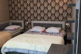 Аренда Дома, 3 Kомнатная, Боржомский район, Бакуриани