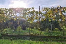 Land For Sale, Kobuleti