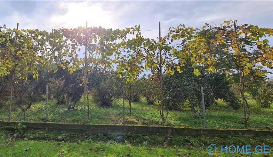 Land For Sale, Kobuleti