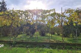 Land For Sale, Kobuleti