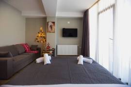 Apartment for sale, 1 Room, New building, Borjomi , Bakuriani
