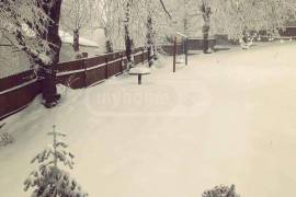Daily Rent, 4 Room, Suburbs of Tbilisi, Kojori