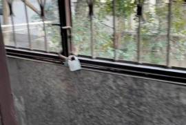 For Rent, 2 Room, Old building, Tbilisi, Didube