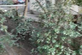 For Rent, 2 Room, Old building, Tbilisi, Didube