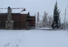 Аренда Посуточно, Озеро Лиси