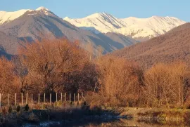 იყიდება მიწის ნაკვეთი, სასოფლო - სამეურნეო