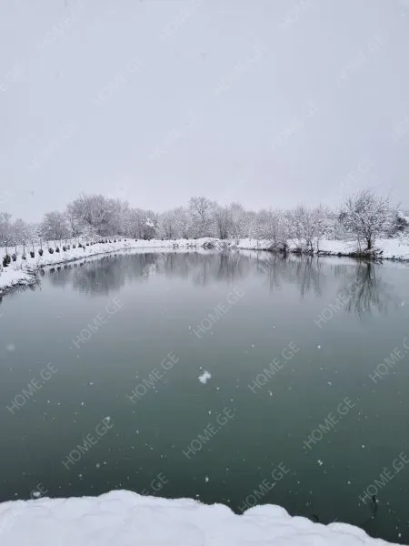იყიდება მიწის ნაკვეთი, სასოფლო - სამეურნეო