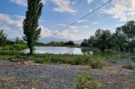 იყიდება მიწის ნაკვეთი, სასოფლო - სამეურნეო