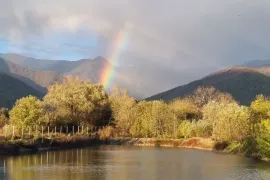 იყიდება მიწის ნაკვეთი, სასოფლო - სამეურნეო