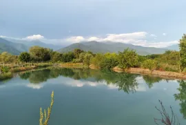 იყიდება მიწის ნაკვეთი, სასოფლო - სამეურნეო