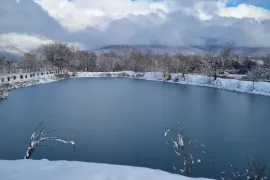 იყიდება მიწის ნაკვეთი, სასოფლო - სამეურნეო