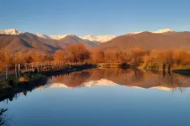 იყიდება მიწის ნაკვეთი, სასოფლო - სამეურნეო
