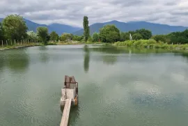 იყიდება მიწის ნაკვეთი, სასოფლო - სამეურნეო