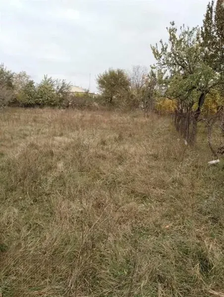 Lease Land , Digomi