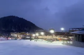 Аренда квартир посуточно, 3 Kомнатная, Новостройка, Боржомский район