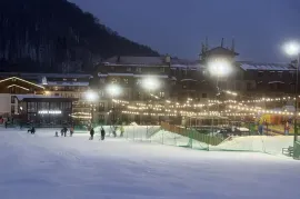 Аренда квартир посуточно, 3 Kомнатная, Новостройка, Боржомский район