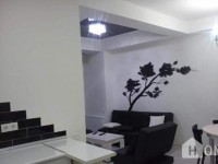 Daily Apartment Rent, New building, saburtalo