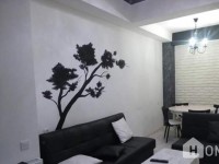 Daily Apartment Rent, New building, saburtalo