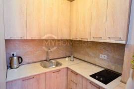 Daily Apartment Rent, 1 Room, New building, Borjomi , Bakuriani