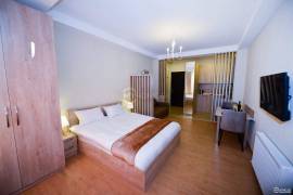 Daily Apartment Rent, 1 Room, New building, Borjomi , Bakuriani