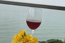 Daily Apartment Rent, 1 Room, New building, Batumi