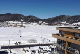 Daily Apartment Rent, 2 Room, New building, Borjomi , Bakuriani