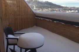 Daily Apartment Rent, 2 Room, New building, Borjomi , Bakuriani