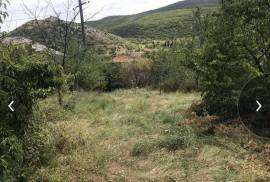 Land For Sale, Nichbisi