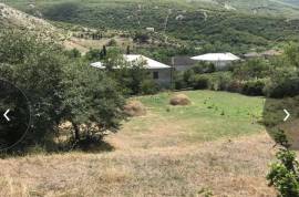 Land For Sale, Nichbisi