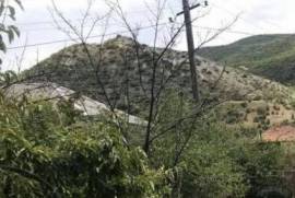 Land For Sale, Agricultural, Nichbisi