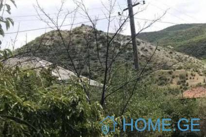 Land For Sale, Agricultural, Nichbisi