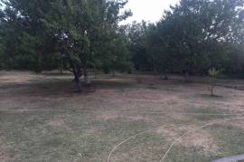Land For Sale, Non Agricultural, Dampalo village