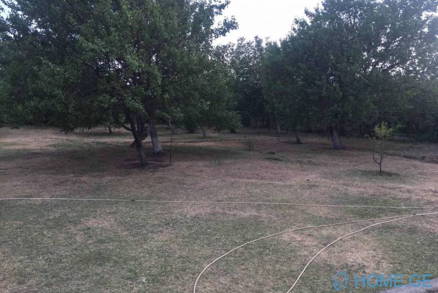 Land For Sale, Non Agricultural, Dampalo village