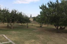 Land For Sale, Dampalo village