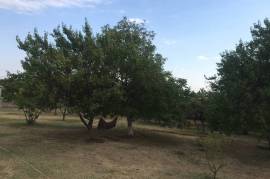 Land For Sale, Dampalo village