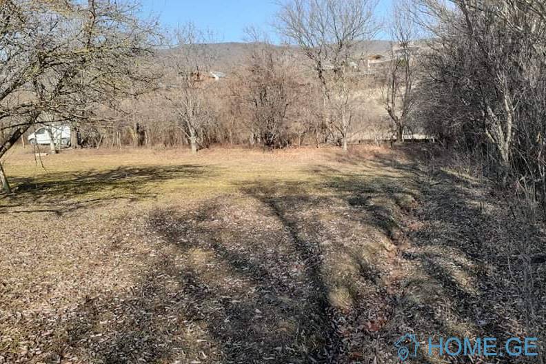 Land For Sale, Misaqtsieli