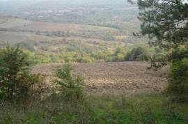 Land For Sale, Magraneti