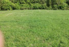 Land For Sale, Kojori