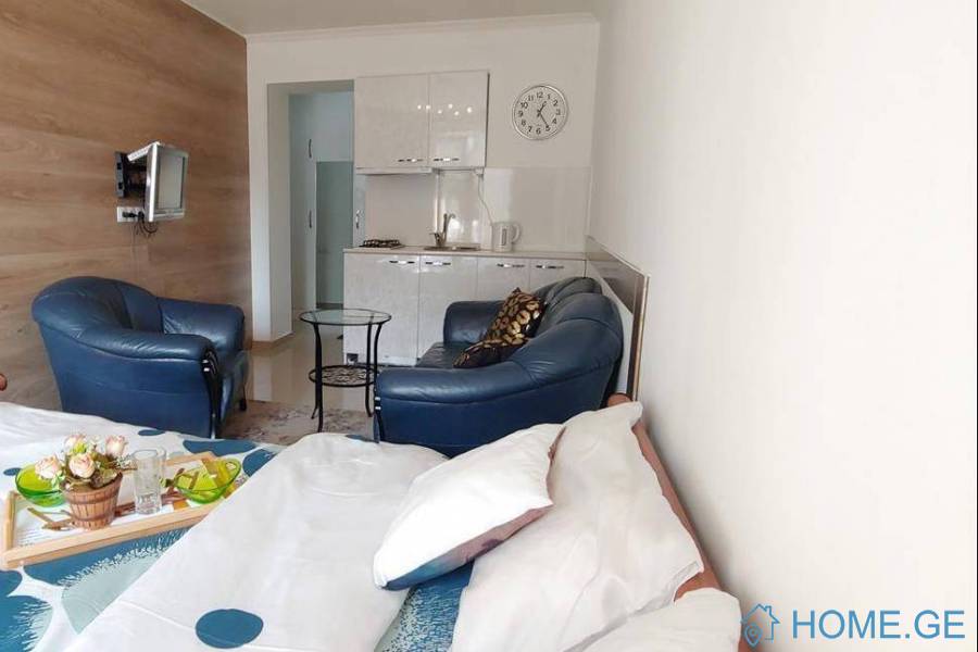 Daily Apartment Rent, 1 Room, New building, Tbilisi, saburtalo