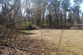 Land For Sale, Tskaltsminda 