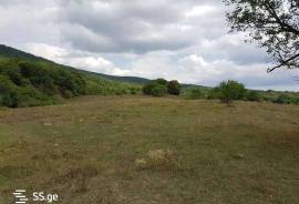 Land For Sale, Nokorna