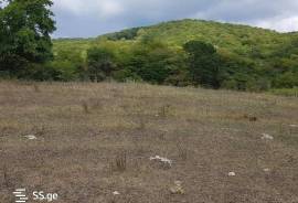 Land For Sale, Nokorna