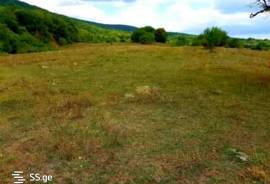 Land For Sale, Nokorna