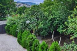 House For Sale, Ortachala