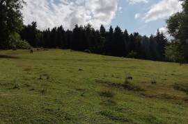 Land For Sale, Mzetamze