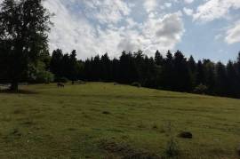 Land For Sale, Mzetamze