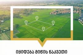 Land For Sale, Mukhiani