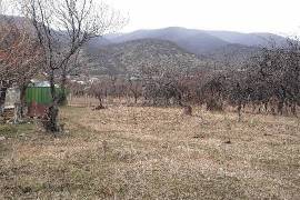 Land For Sale, Navazi